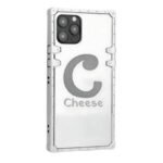 CHANEL CASE GILLITER(SILBER)12/13MINI